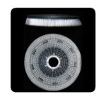 floor-maintainer–fiorentini-brand-jolly17-7