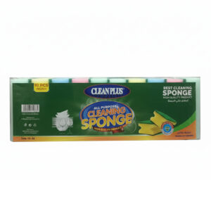 Sponge with scourer – Small