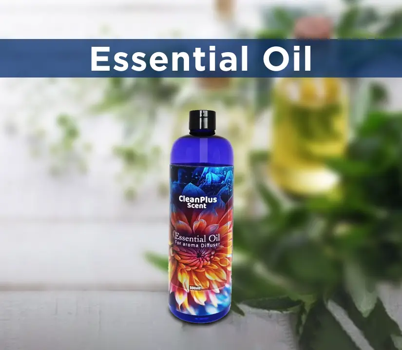 Essential Oil air freshener